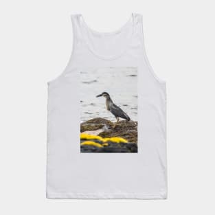 Black-crowned night heron 4 Tank Top